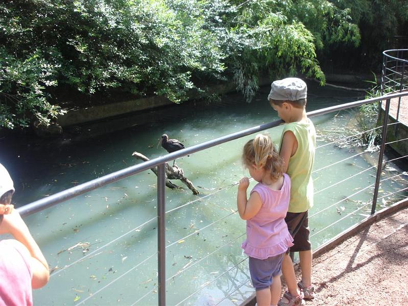 Parc des oiseaux (15)